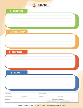 BIRP Note Template (Free Download)